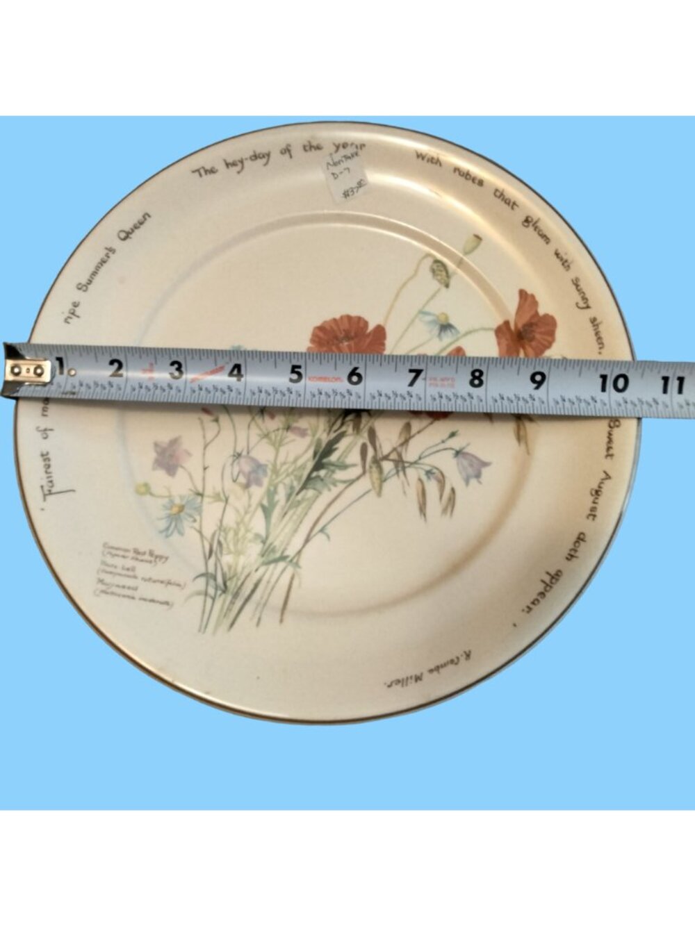 Noritake of Ireland Country Diary of An Edwardian - Picture 10 of 14